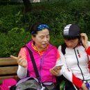 호수공원소나무숲길 이미지