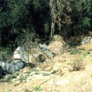 연동연대 이미지