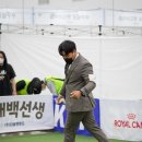 스타덤 펫살롱 이미지