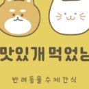 맛있개 먹었냥 이미지