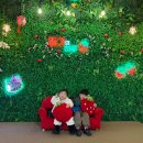 자석농장 | 인천 딸기 농장체험 딸기의하루 후기 아이랑 가볼만한곳 예약 팁 주차 가격