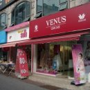 홍성비너스 티스토리