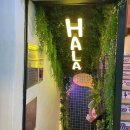 푸른술집 할라 이미지