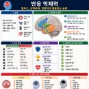 {필수적 뇌건강 정보} "반응 억제력" 이미지