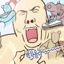 견생일기 이미지