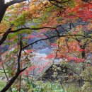 창조주의 이미지