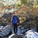 유명산골