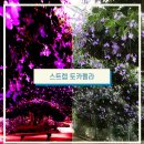 사계절꽃식물원