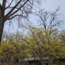 연인의길 화장실 이미지