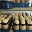 이화항외과의원 이미지