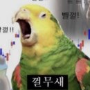미드데이썬