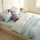 바인블루 이미지