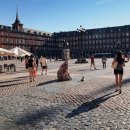 마루광장 이미지