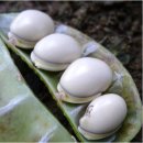 양생한의원 이미지