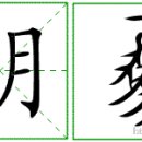 조개패거리 이미지