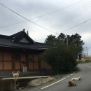 영암경로당 | [영암살래] 명예영암군민 드디어 영암에 별장 얻다(영암살래 선정 꿀팁, 단층 룸투어, 태교, 여행, 힐링)