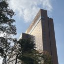 북경,영빈관 | 생일맞이 서울 신라호텔 비지니스 디럭스 영빈관 뷰 (feat.🍯 Tip)