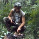 호랑이와 반달곰 이미지