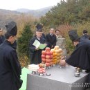 양산신-2009 이미지