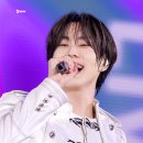 개, 이쁘다 이미지