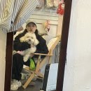 면목독 이미지