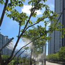 온천천관리사무소 이미지