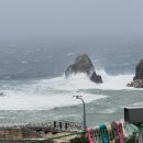 둥구민박 이미지