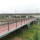 남천제방길 이미지