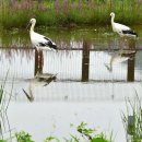 황새마을 이미지