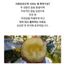 효성농장 이미지