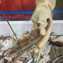 송도상회 이미지