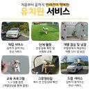 선샤인 반려견 유치원 이미지