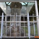 노한묘와 신도비 이미지