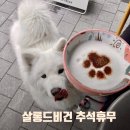 살롱드비건(SALON DE VEGAN)