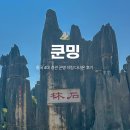 봉정여자 | 중국 쿤밍 여행 석림 후기 | 투어 없이 직접 버스 타고 다녀오기 곤명 여행