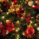 해피 행정사사무소 이미지