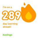 프사오도담 | 3주 고봉밥