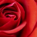 베스트 태권도 2관 이미지