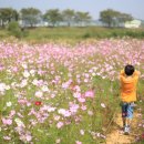 백곡천2 이미지