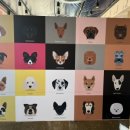 펫앤스토리 이미지