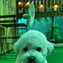 이룸독트레이닝 이미지