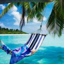 아이언게러지 이미지