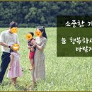 연세비케이의원 이미지