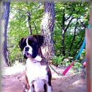 안녕하세요 이미지