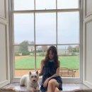 멍멍스타 이미지