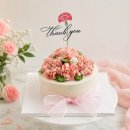 하솜 | 하솜아뜰리에 어버이날 · 스승의날 주문 후기 🌸