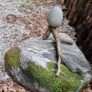 희여울과 꽃나예 | 가평 임산계곡 임산폭포에서 시원한 물맞이를 하였네요. (2024.8.30)