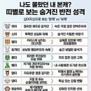 나도 몰랐던 내 본캐? 띠별로 보는 숨겨진 반전 성격 이미지