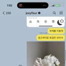 조이플레르