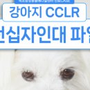 속초삼성동물메디컬센터 이미지